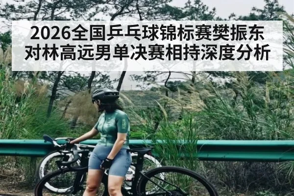 2026全国乒乓球锦标赛樊振东对林高远男单决赛相持深度分析