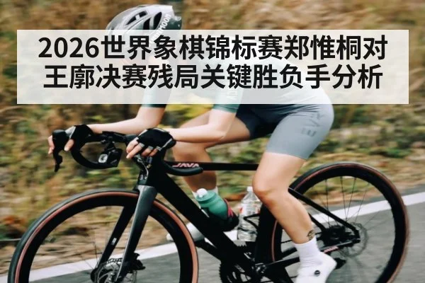 2026世界象棋锦标赛郑惟桐对王廓决赛残局关键胜负手分析